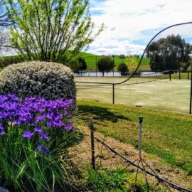 Tennis court