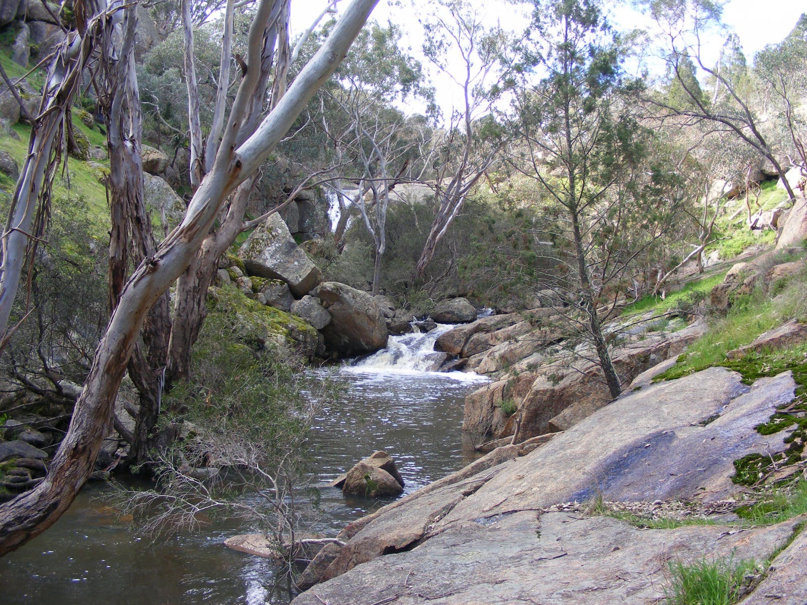 Gold Panning and Fossicking Victoria's High Country
