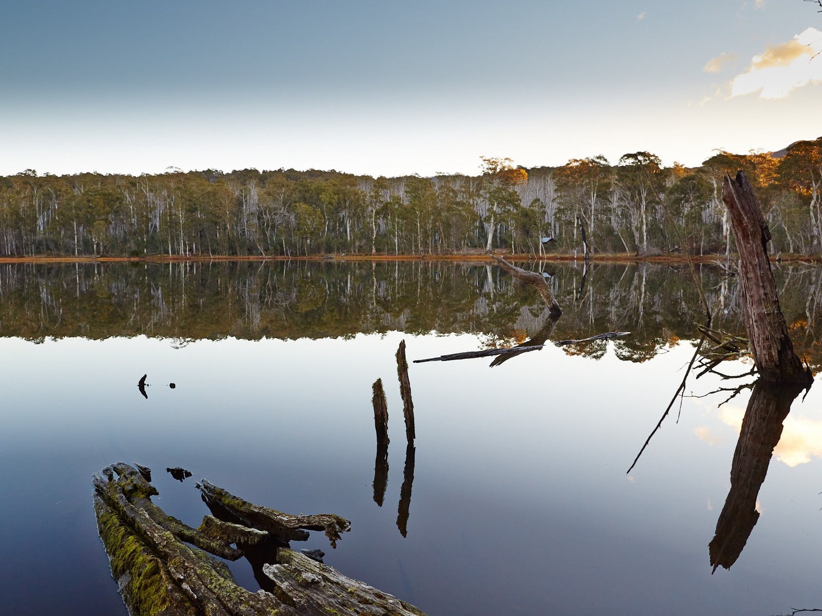 Wabonga Lake Cobbler - Victoria's High Country