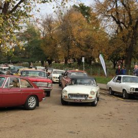 Classic Car Rally - Cheese, Wine and Wetlands