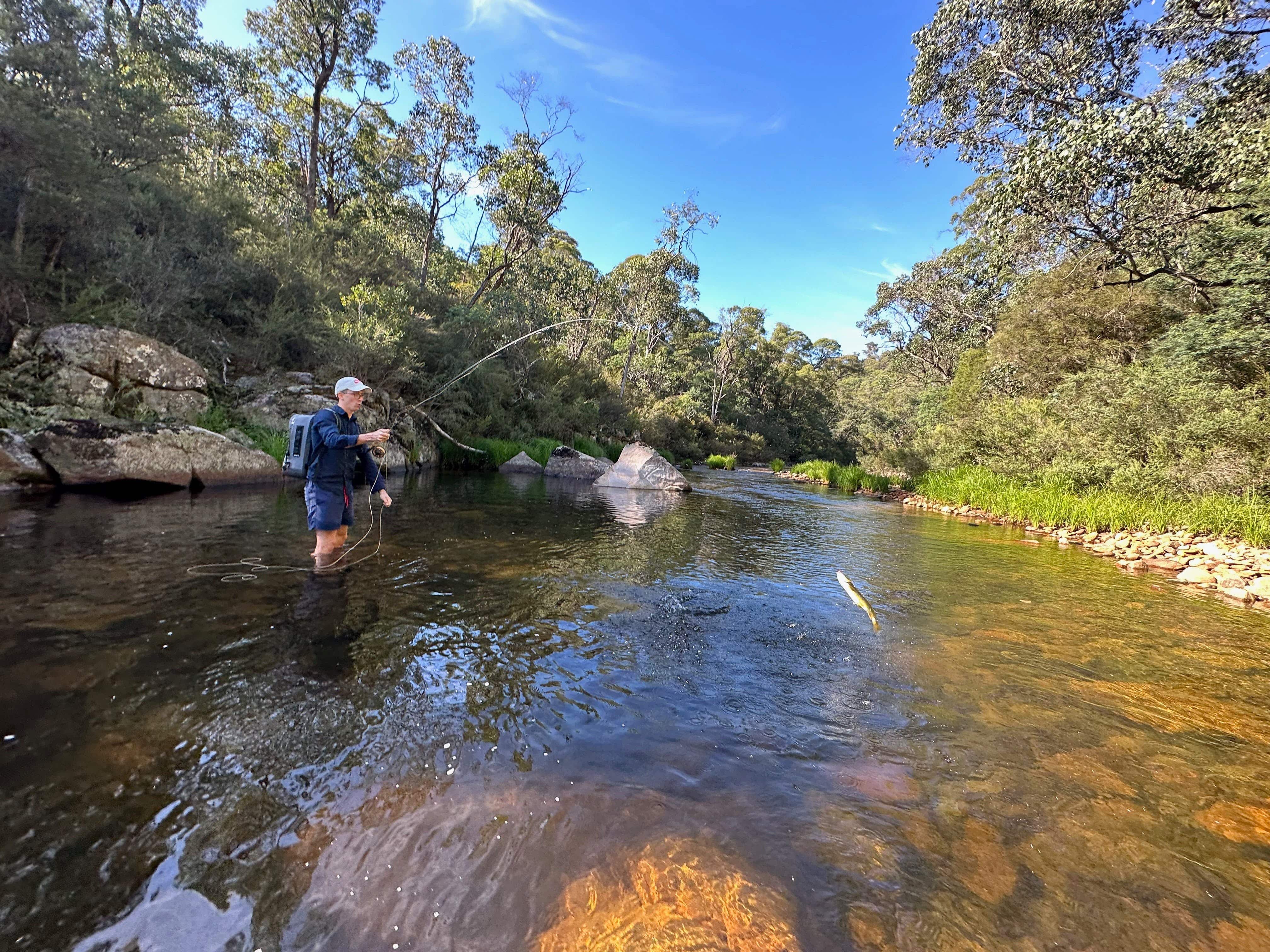Guided Fly Fishing - Victoria's High Country