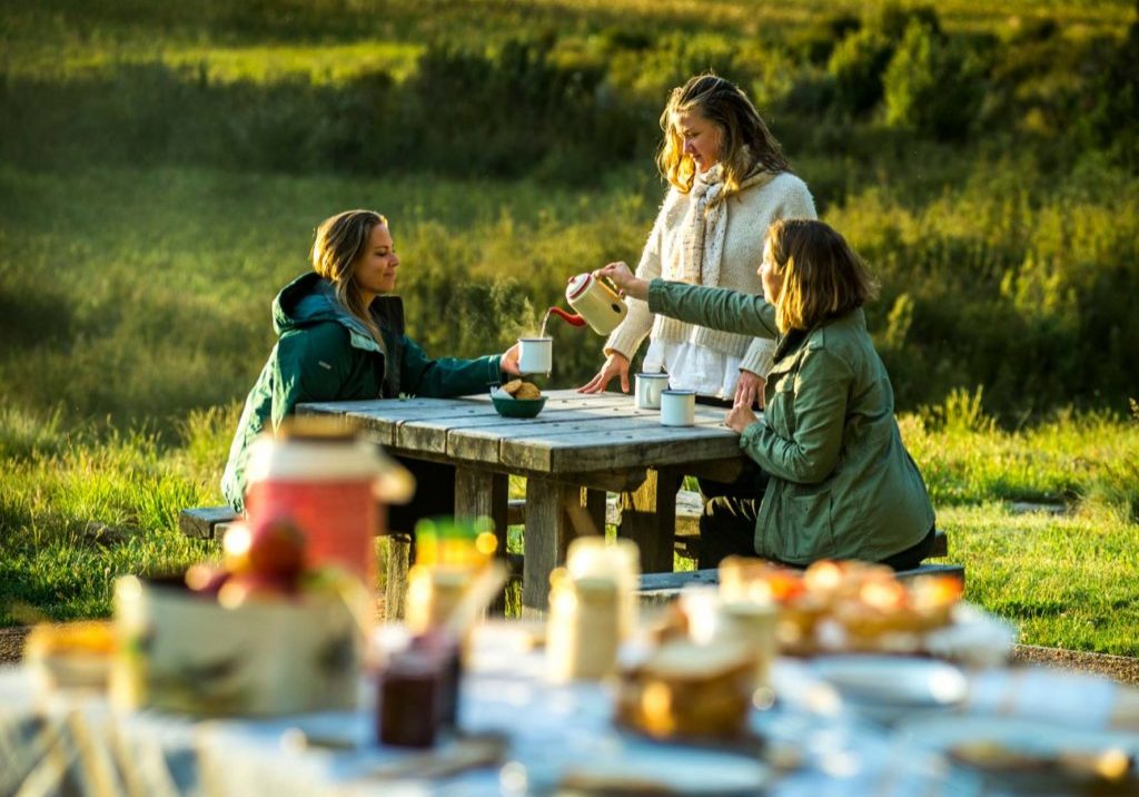 Feast-Picnic Feast-Picnic