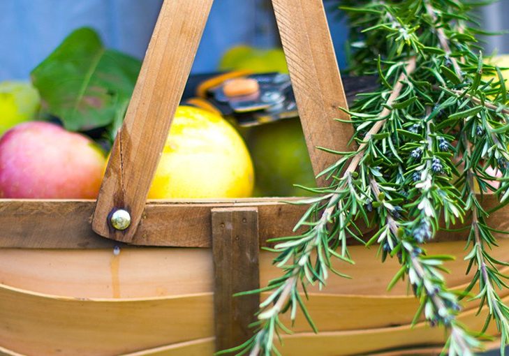FWB-FoodProduce-Summer-16x9 High Country Harvest Basket