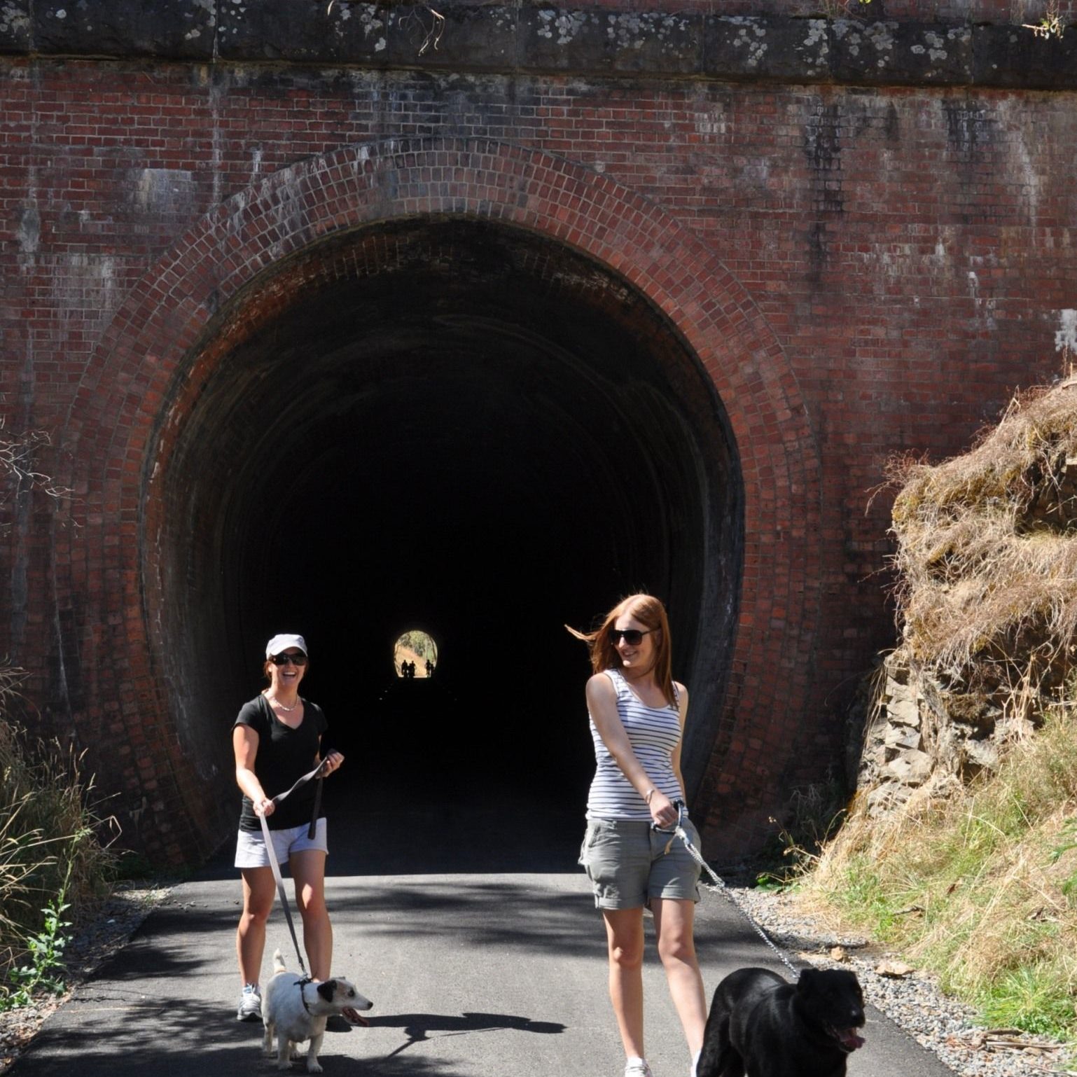 Cheviot Tunnel - people walking dogs along Great Victorian Rail Trail