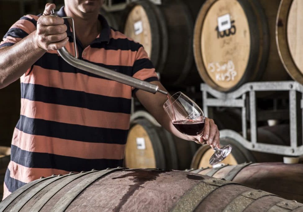 The Sangiovese Project Tour - Joel Pizzini Sangiovese Project King Valley