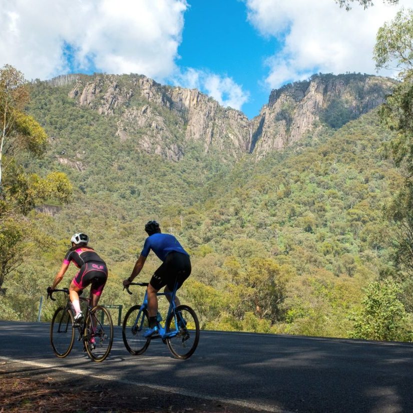 Two road cyclists starting the climb up Mount Buffalo
