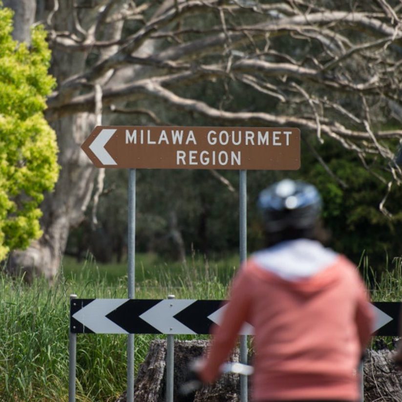 Murray to Mountains Rail Trail Wangaratta to Milawa via Oxley