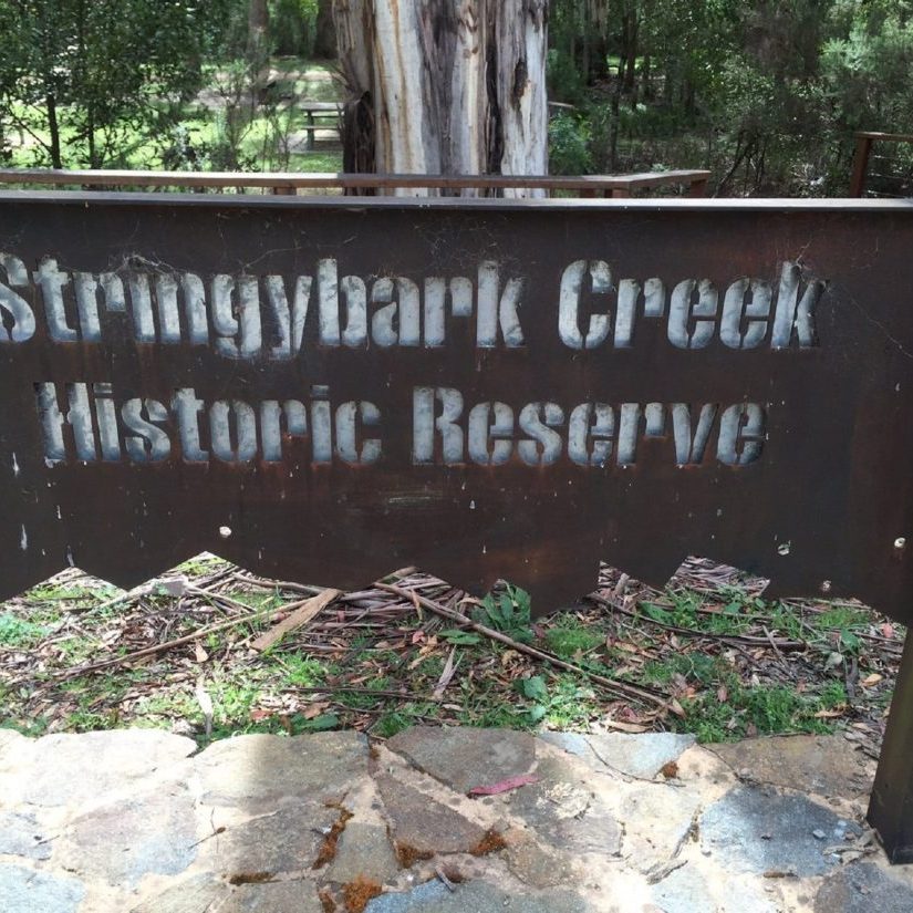 Stringybark Creek Historic Reserve
