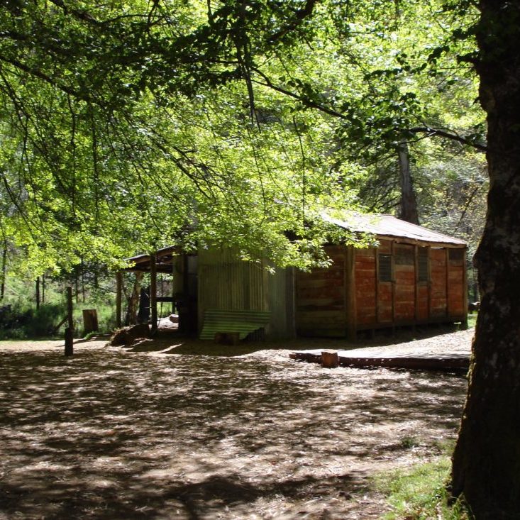 Pickering's Hut and Camping Area