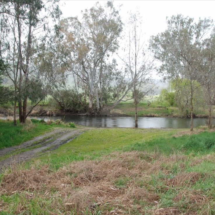 Pigs Point Streamside Reserve