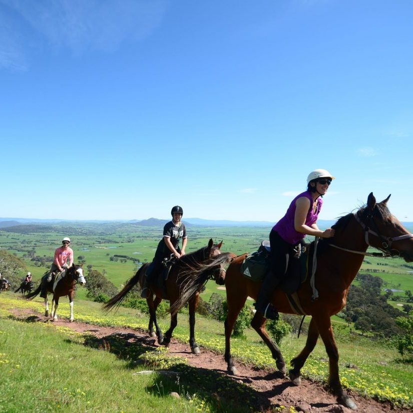 Mansfield Victoria Horse Riding Adventure