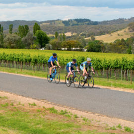 Road cycling in the King Valley